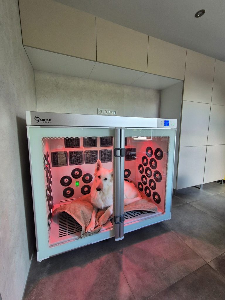 Trimsalon Soof Druten